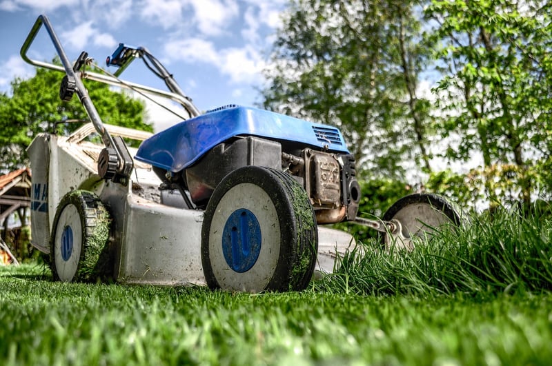 Summer Maintenance