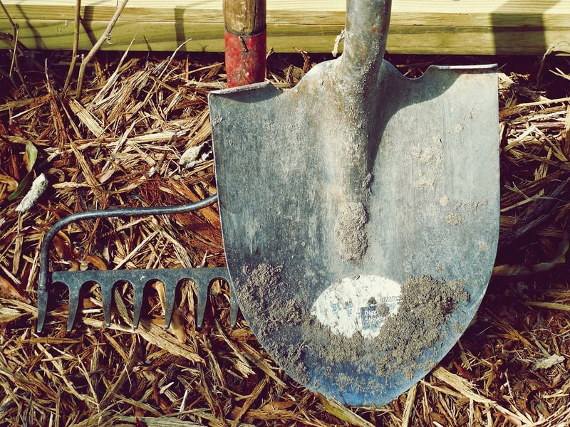 Spring Gardening