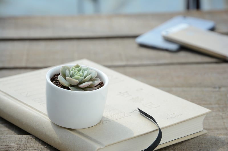Upcycled Containers