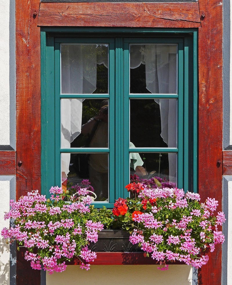Window Boxes